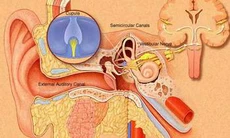 Thuốc chữa chóng mặt do rối loạn tiền đình